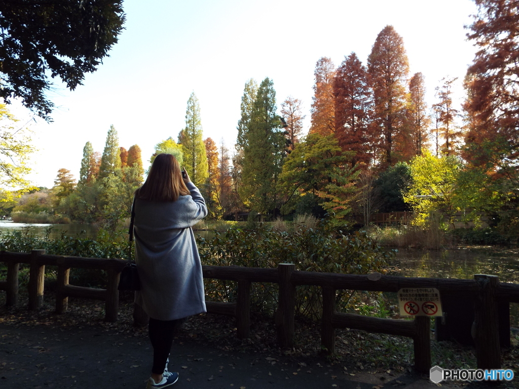 井の頭恩賜公園9