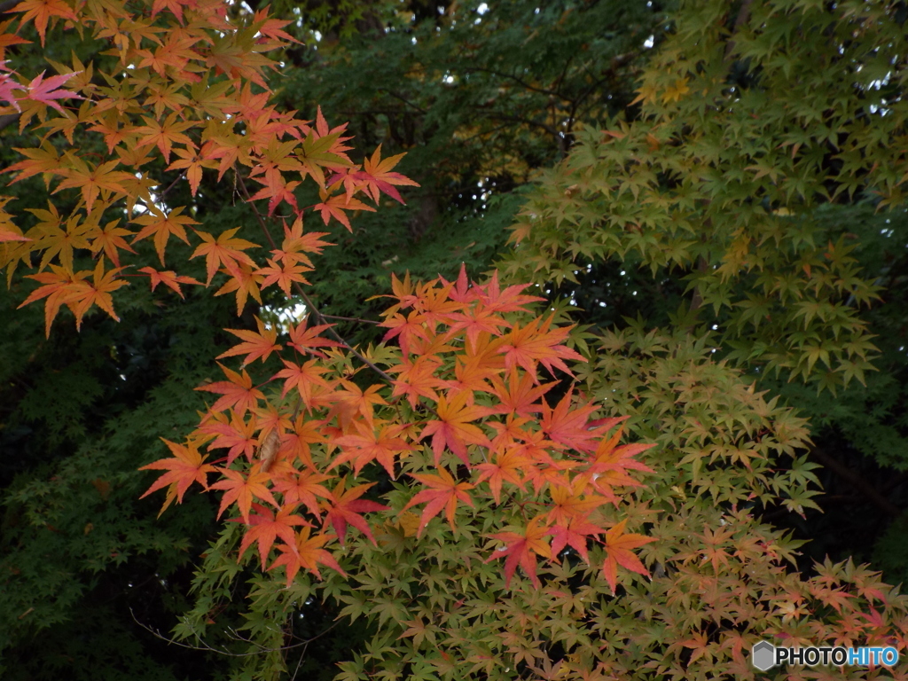 天岑寺16