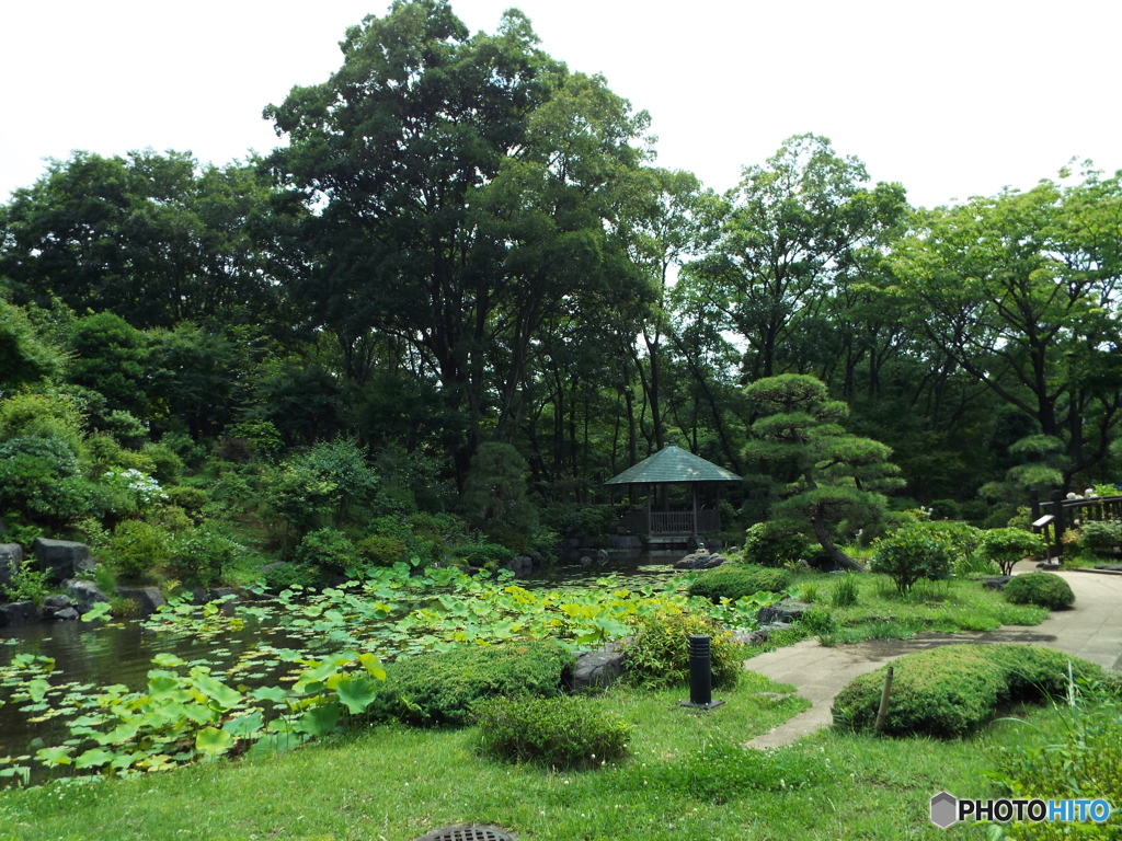 日本庭園17