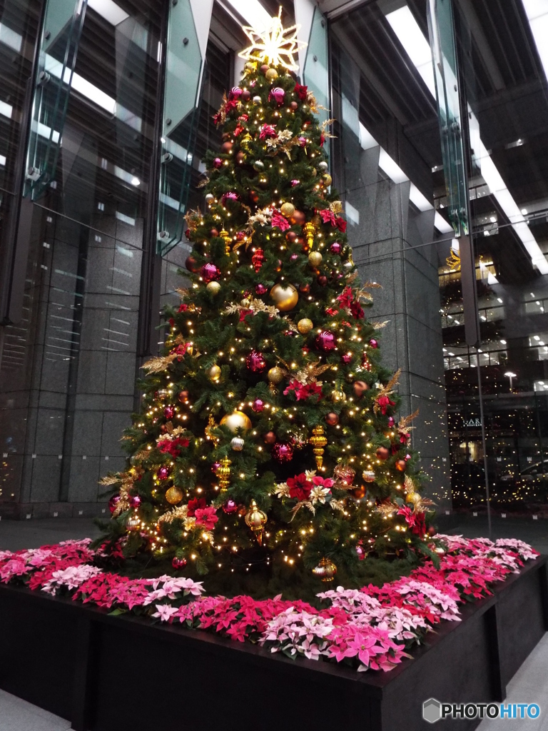 クリスマスツリー3