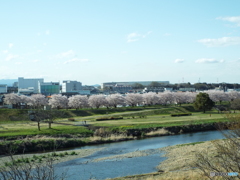 お花見18