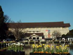 上野公園・噴水広場14