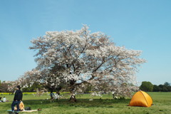 DSCF0614