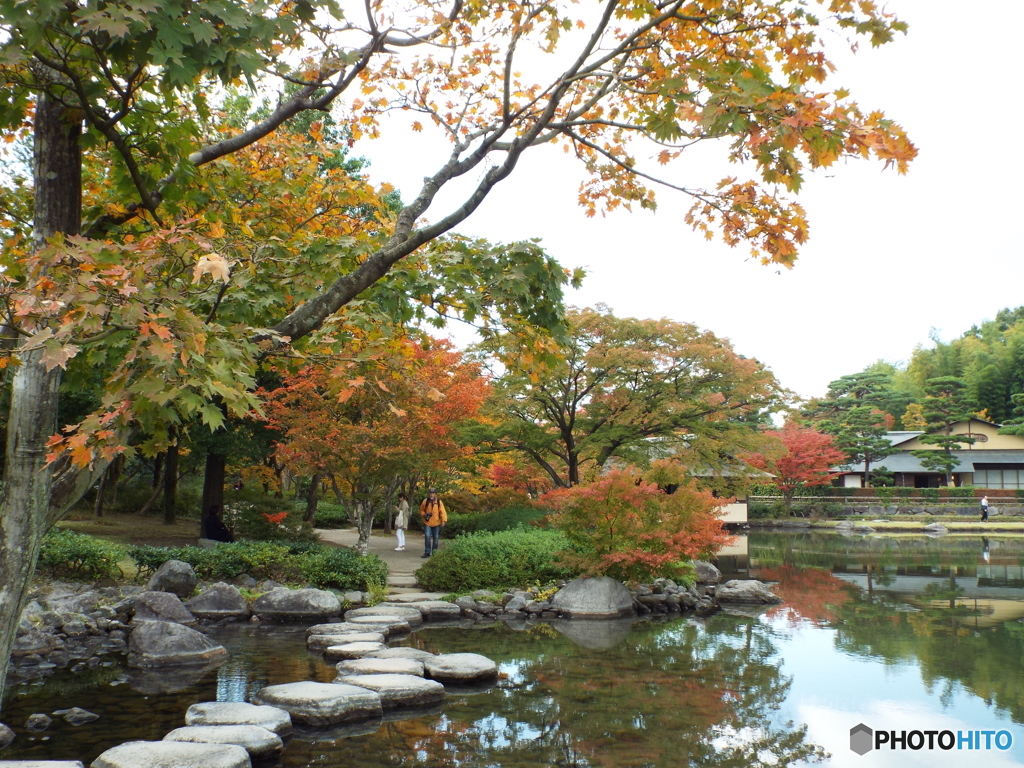 紅葉の日本庭園3