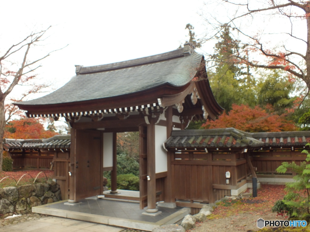 紅葉の能仁寺9