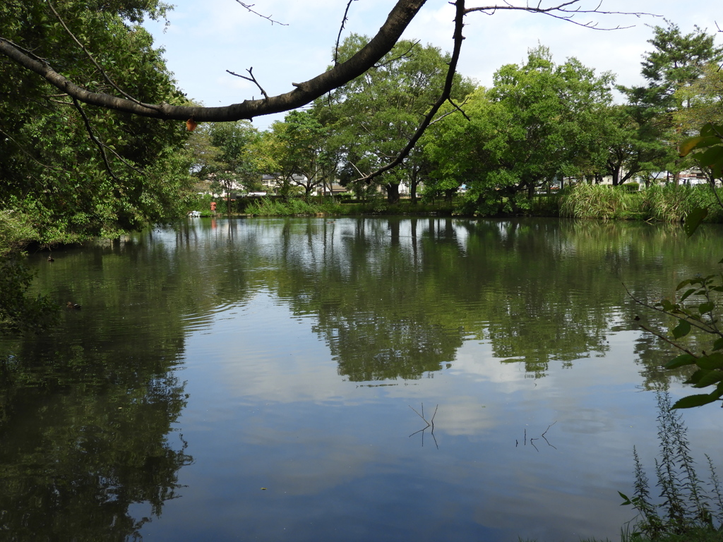 初秋の智光山公園散策11