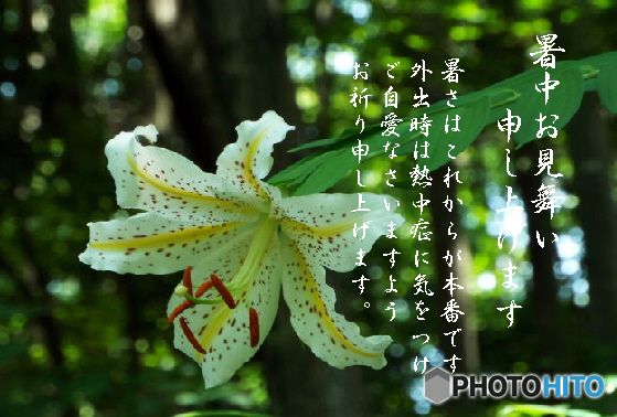 暑中2