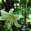 暑中2
