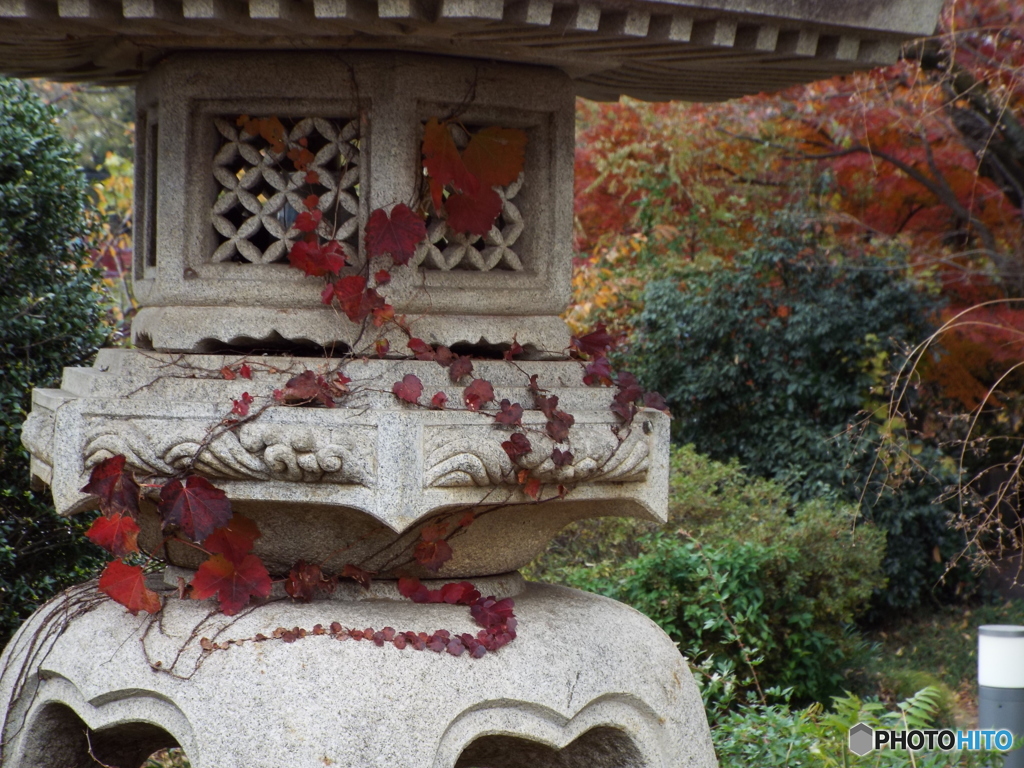 天岑寺3