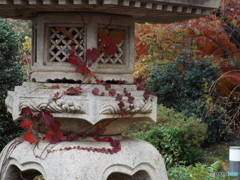 天岑寺3