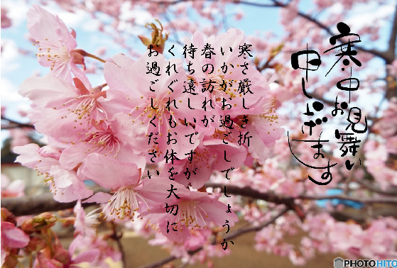 寒中お見舞い8
