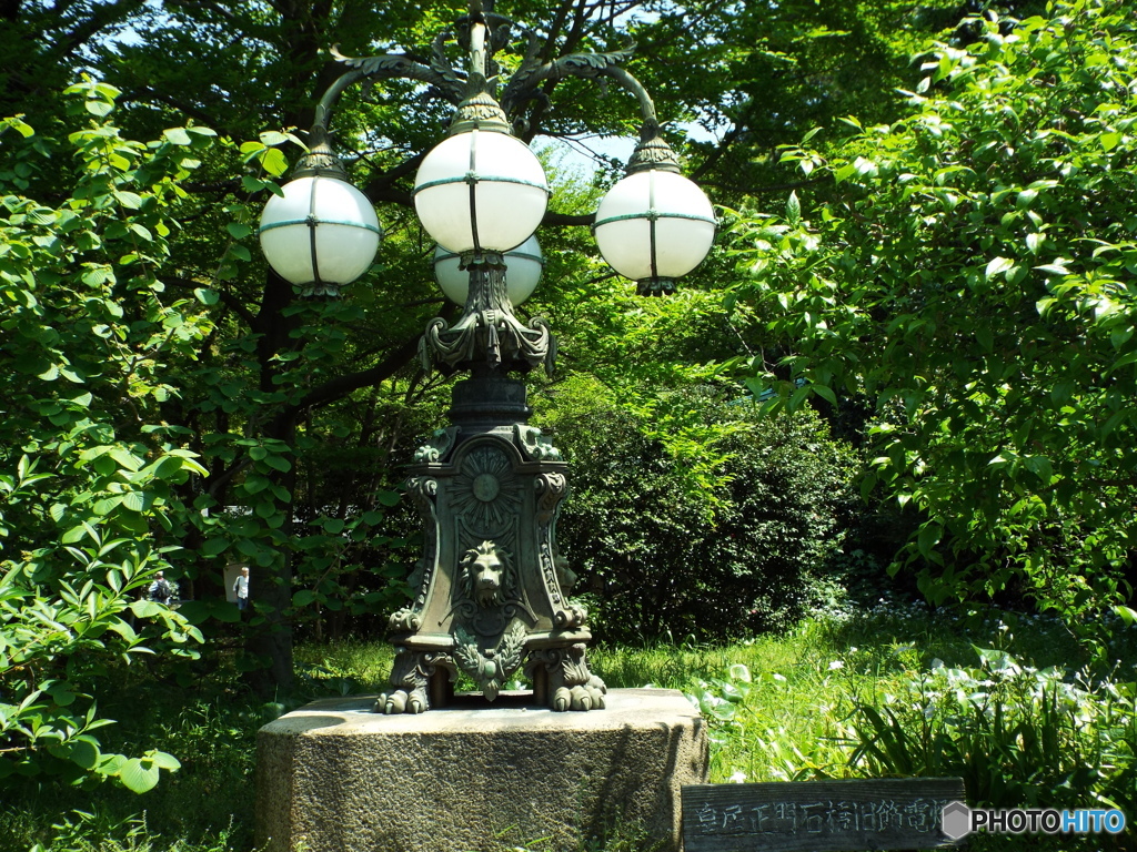皇居東御苑7