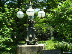 皇居東御苑7