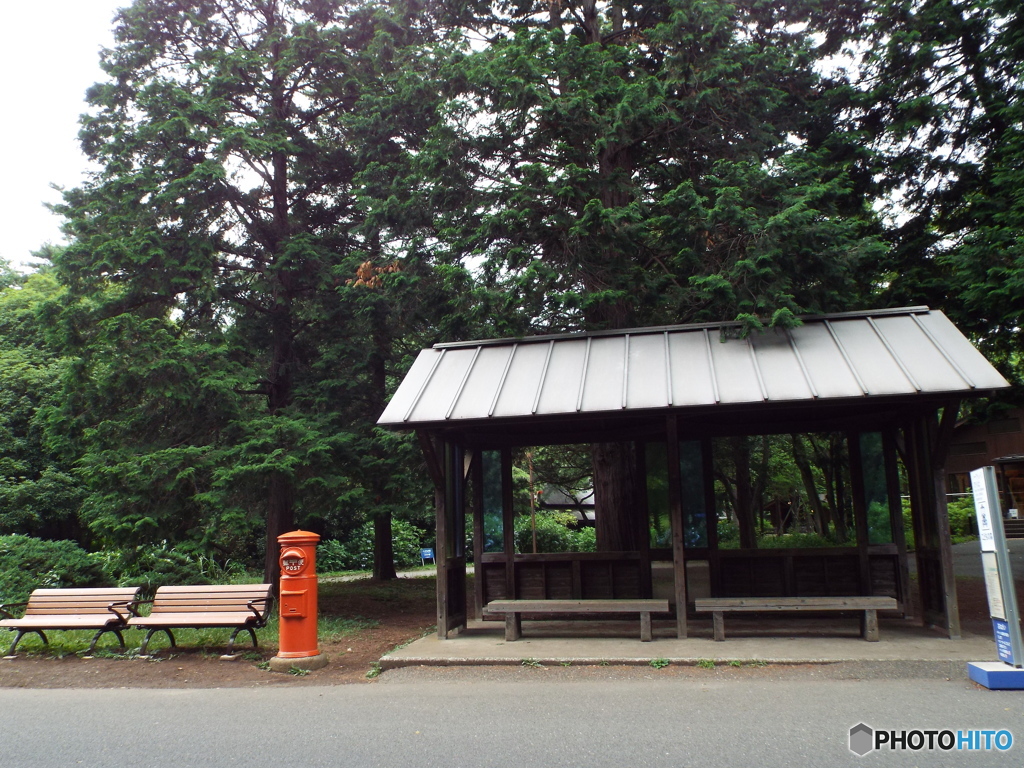 深緑の昭和記念公園19