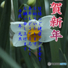 年賀15