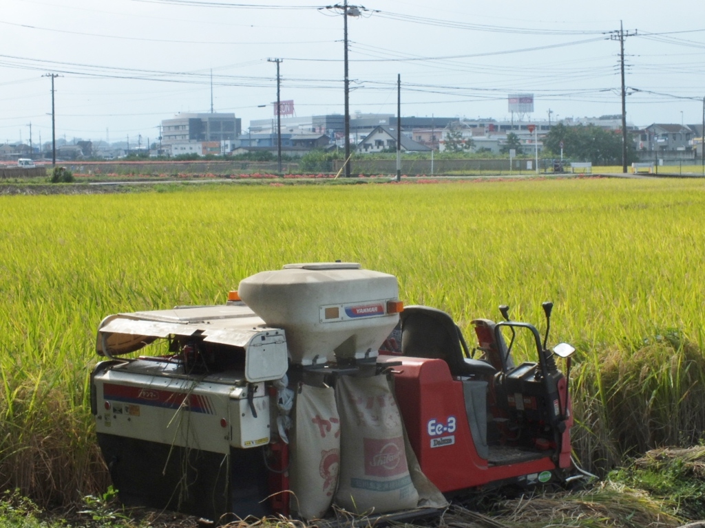 田園風景1