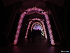 イルミネーション1