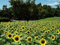 DSCF0083
