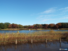 水鳥の池周辺1