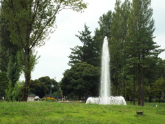 DSCF0073