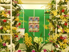 洋らん展1