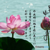 暑中7