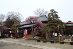観音寺7