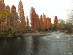 井の頭恩賜公園17