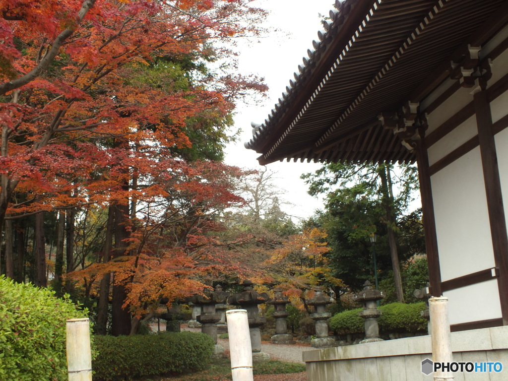 紅葉の能仁寺2