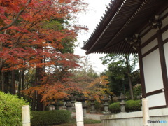 紅葉の能仁寺2