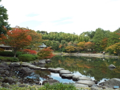 紅葉の日本庭園2