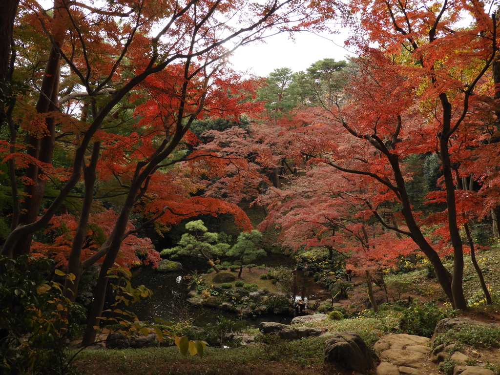 殿ヶ谷戸庭園10