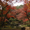 殿ヶ谷戸庭園10