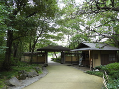 初秋の日本庭園20