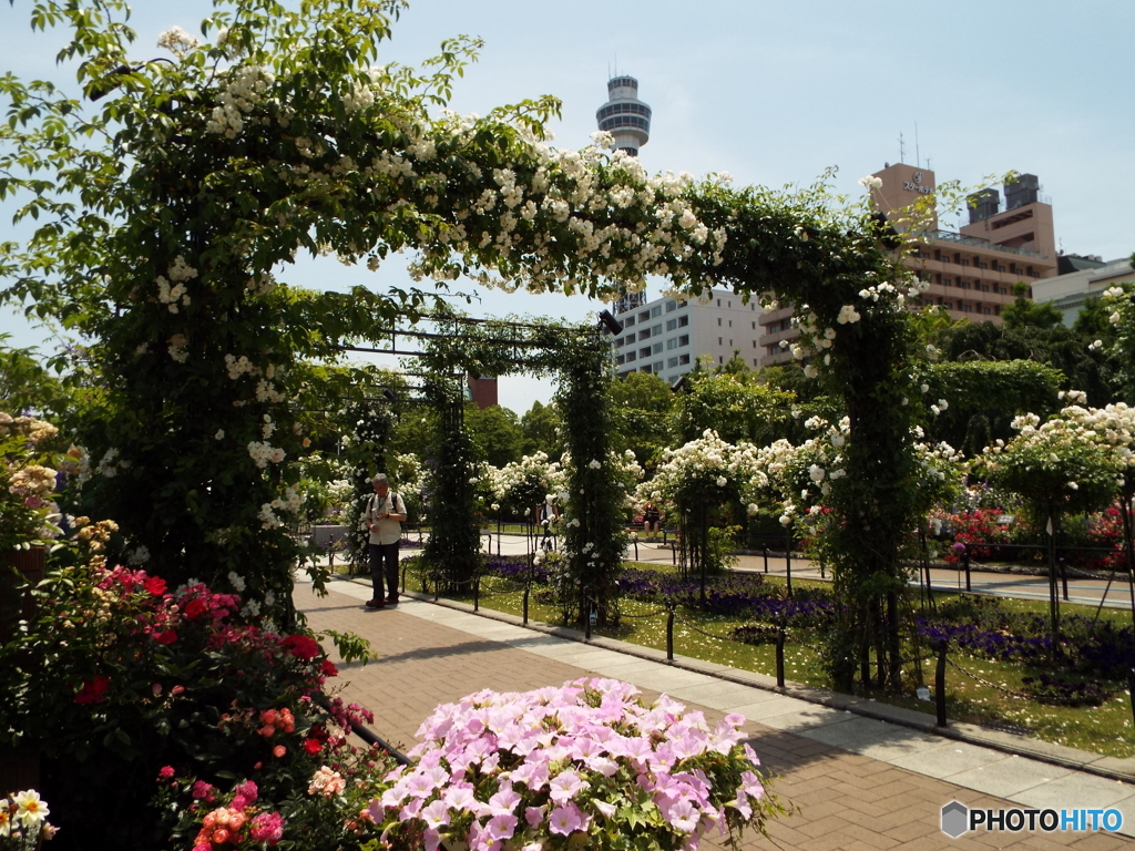 山下公園11