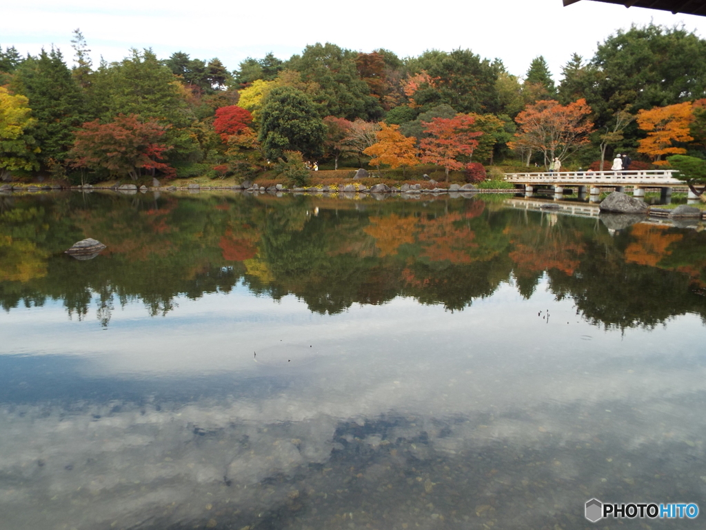 紅葉の日本庭園9