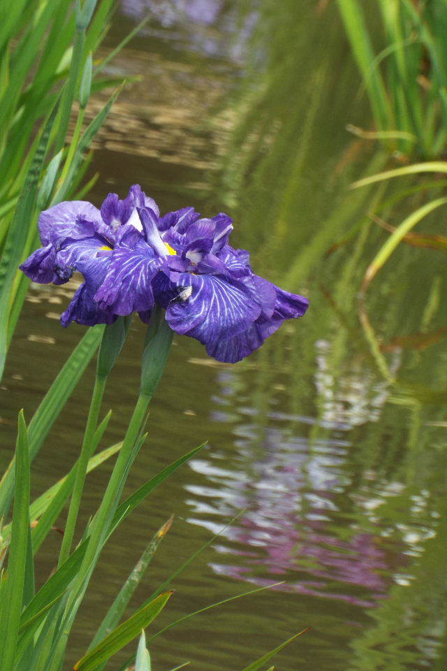 DSCF0368