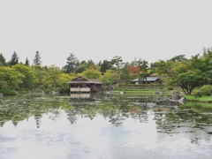 日本庭園4