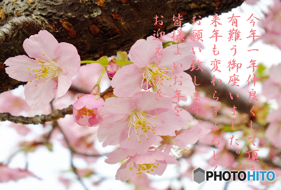 年末8