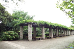 カナール広場6