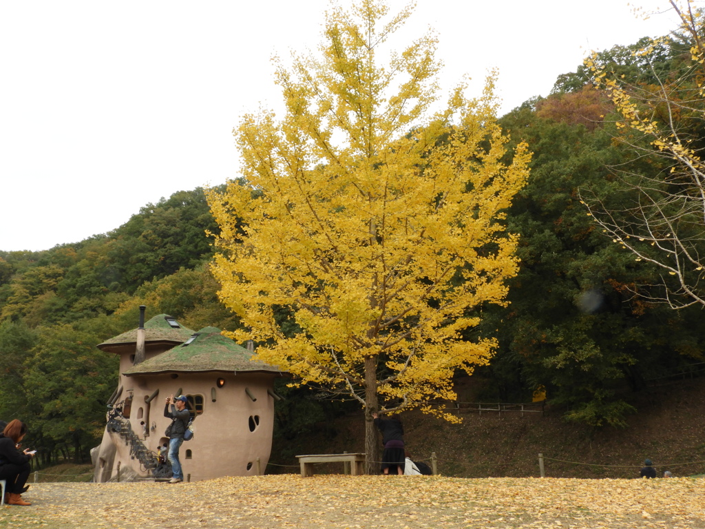 あけぼの子どもの森公園6