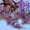 年末1