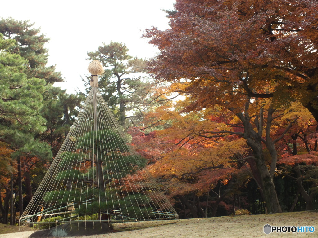 秋の殿ヶ谷戸庭園1