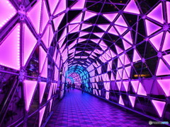 イルミネーション10