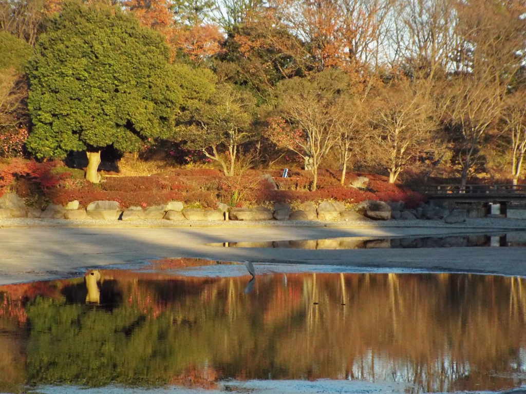 日本庭園1