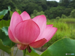 DSCF0035