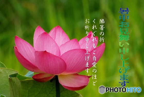 暑中6