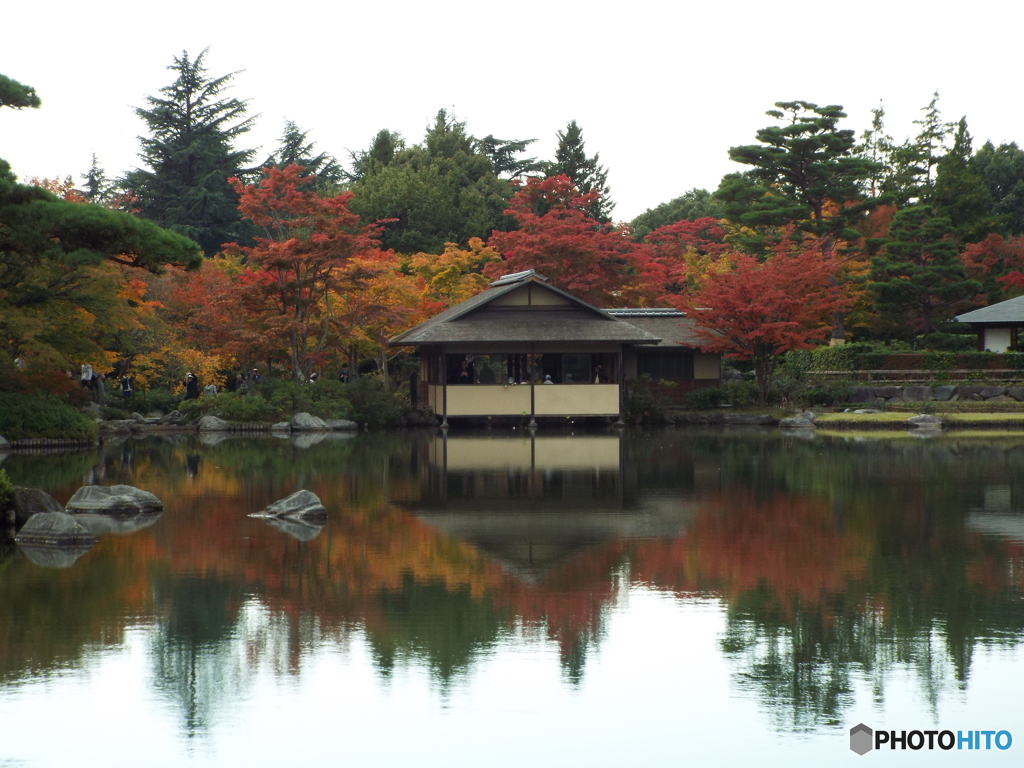 紅葉の日本庭園12