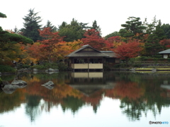 紅葉の日本庭園12
