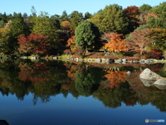 日本庭園7